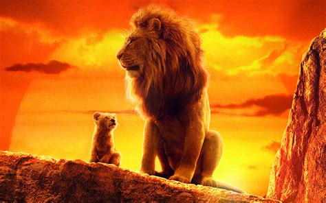 lion king wallpaper hd